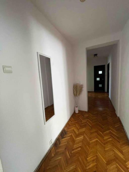 Apartament Zona Centrala Punctele Cardinale -Take Ionescu Timisoara Lägenhet Exteriör bild