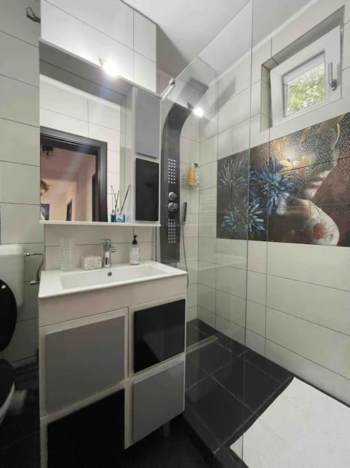 Apartament Zona Centrala Punctele Cardinale -Take Ionescu Timisoara Lägenhet Exteriör bild