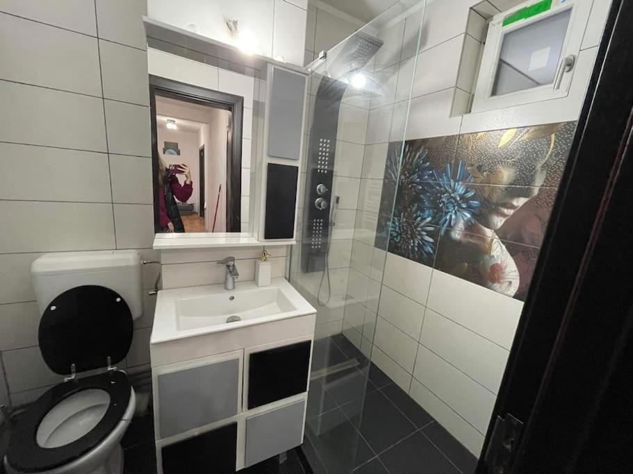 Apartament Zona Centrala Punctele Cardinale -Take Ionescu Timisoara Lägenhet Exteriör bild